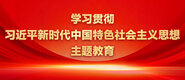 大鸡吧草骚逼学习贯彻习近平新时代中国特色社会主义思想主题教育_fororder_ad-371X160(2)